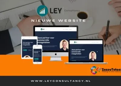 Ley Consultancy preview